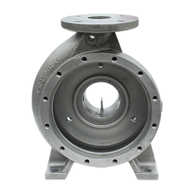 case for pumps