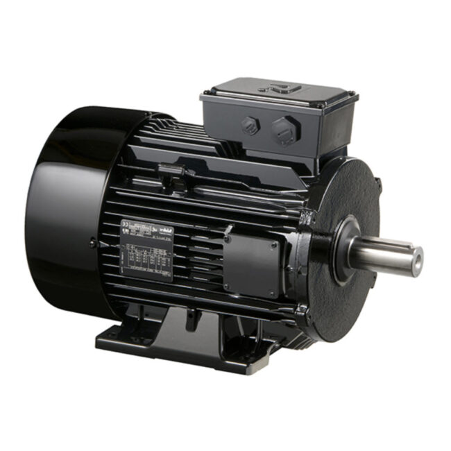 electric motor for pump